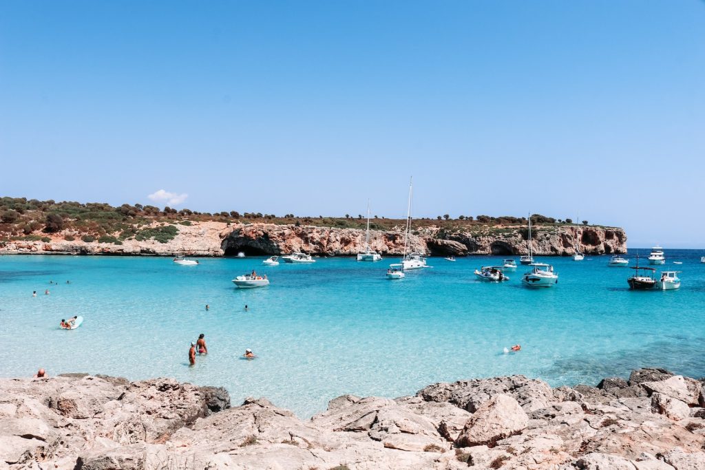 people swimming on beach during daytime