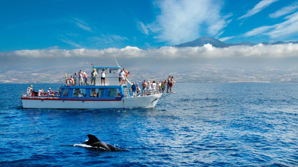 Pozorovanie veľerýb a delfínov na Tenerife